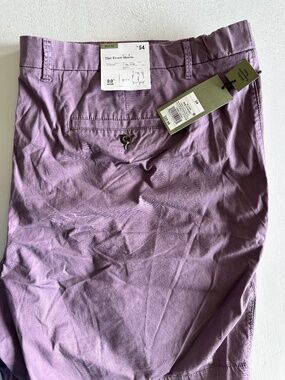 Goodfellow & Co Womens purple shorts. W54